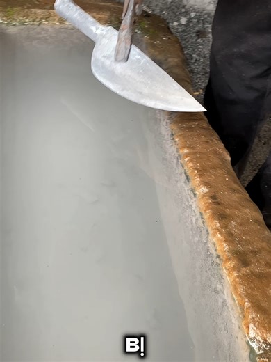 Chữ ký giải tỏa - Hải đường sau mưa