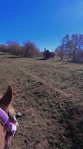 Horse life is hard work but where else do you get to experience the mountains like this | Shannan Hunt