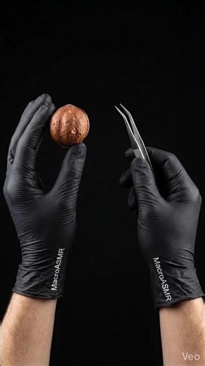 Pure ASMR: Hazelnut Shell Peeling in Macro Detail #satisfying #oddlysatisfying