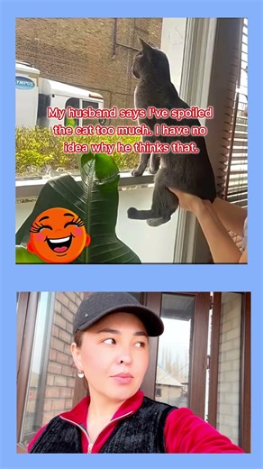 #humorvibes #funny #jokes