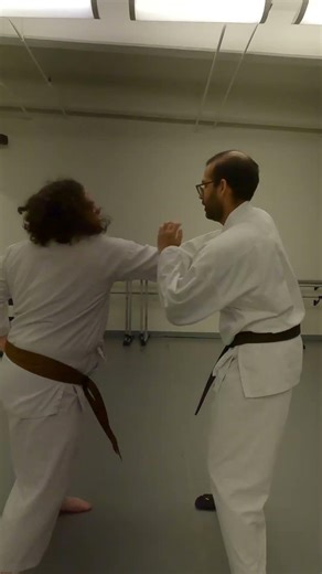 From Block to Arm Bar (Hindiandi Gung Fu)