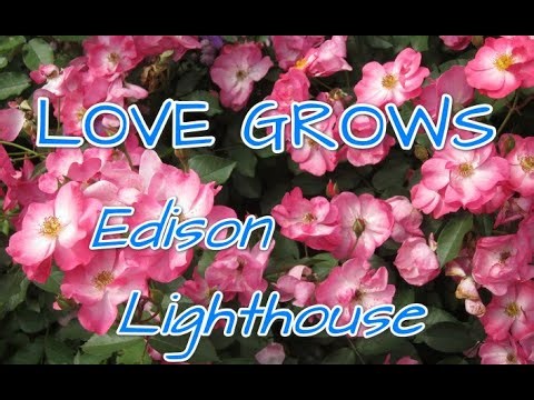 Edison Lighthouse - Love Grows (Lyrics)