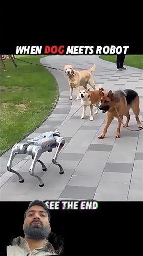 Robot Scares Dog, But Cat Stays Cool #trending #animals #wildlife #cat #dog