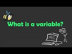 What is a variable in Programming?