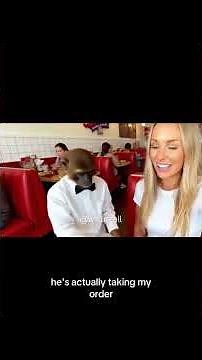The restaurant where monkeys are cooking the food #funny #food #ai #monkey #vlogs