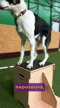 Jumpbox | target 2v1