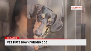 TRAGIC MIX-UP: A Davis County woman hopes her dog's death will be a lesson to all vets. HER STORY: https://kutv.com/news/local/woman-veterinarian-mix-up-may-have-killed-my-dog | KUTV 2News