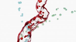 clip-3423463413-pituitary-gland-secretes-follicle-stimulating-hormone ...