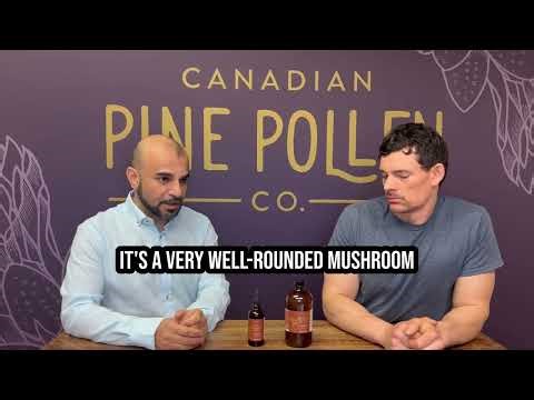 Reishi Tincture, Ganoderma lucidum