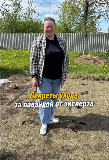 Секреты ухода за лавандой: Советы от эксперта