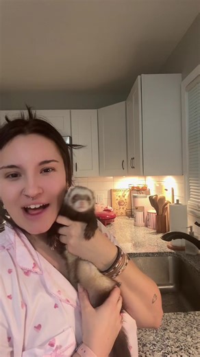 Tips for Choosing the Best Ferret Products