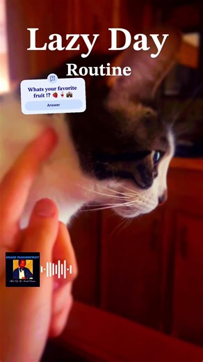 𝐋𝐚𝐳𝐲 𝐝𝐚𝐲 𝐫𝐨𝐮𝐭𝐢𝐧𝐞 🥱💕