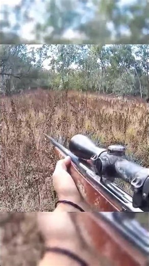 The Ultimate Wild Boar Hunt | Real Danger, Real Thrill, Real Adventure