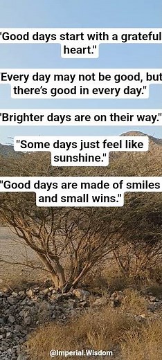 Good Days Start with Gratitude | Short Positive Quotes Video