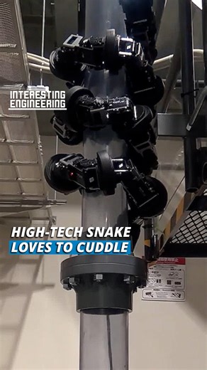 105K views · 624 reactions | This robot is designed to move like a biological snake. It climbs on tubes and trees by mimicking the mechanism of real snakes. It is marvelous to see that it quickly adapts to the shape of the objects. | Interesting Engineering | Facebook