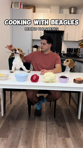Cooking with Beagles: Easter Weekend Behind-the-Scenes