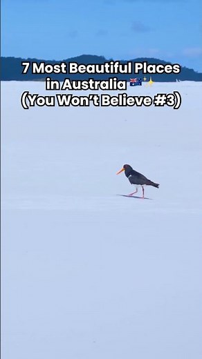 7 Reasons Australia is Worth the Flight 🇦🇺 #travel #bucket list #explore #shorts