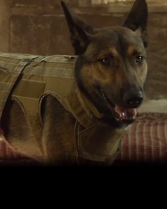 Trailer For MAX, About A Dog Trained To Fight With The Marines — GeekTyrant