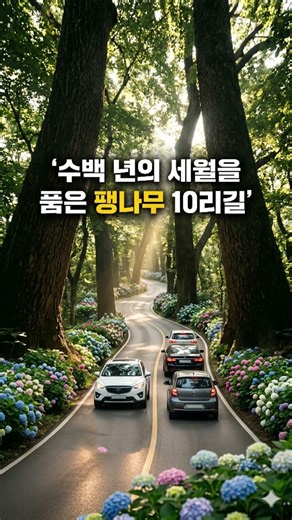 예술이 된 섬, 도초도에 물들다 #도초도 #팽나무 #수국정원 #올라퍼엘리아슨 #숨결의지구