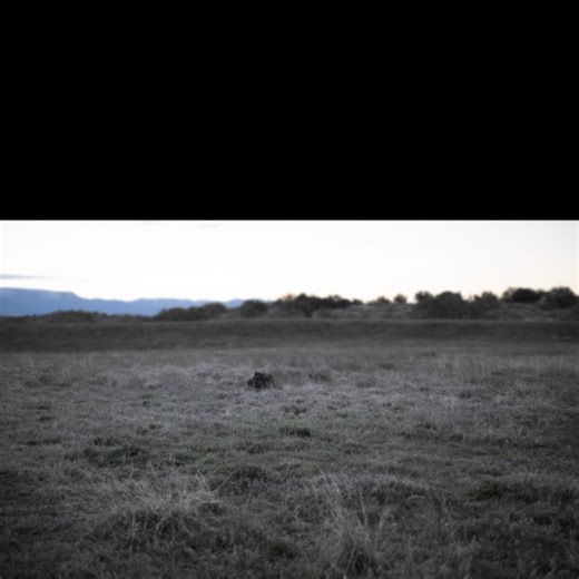 Brooke Shaden on Instagram: "⏩ to see how it was made. Today marks the final 2 months of the @SonyAlphaFemale 52 Week Challenge, and it's not too late to submit photos to be considered for a gallery feature on Sony Alpha Universe (🔗 in 🅱️ℹ️🅾️). Everyone (seriously, no exceptions) is welcome. Plus, today there's a new drop of themes for February, kicking off with "Love". After creating a much more obvious "butterflies in my stomach" image, I switched ideas and made this: a