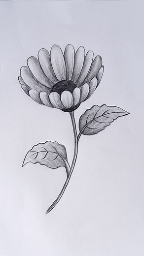 Daisy Flower || Doodle Art #Art #Drawing #PencilSketch #Artist #ArtWork #DoodleArt #Flower #FbReels #Tranding #ForYouPage | Tahmina Art Gallery