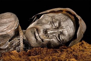 Tollund Man - Alchetron, The Free Social Encyclopedia