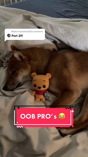 Insights on Funko Pop Out-of-Box Collecting