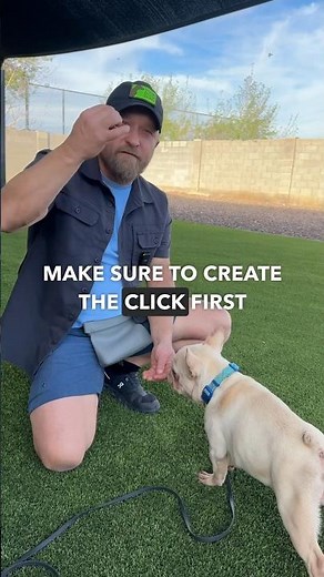 Clicker Training 101! Important first steps to introducing the clicker in training your dog.