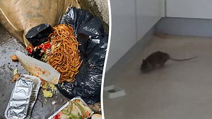 Food waste from London market attracting 'rats the size of cats'