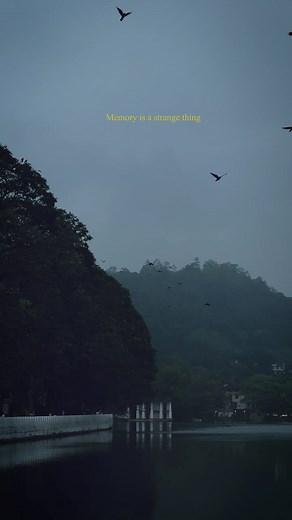 87K views · 1.6K reactions | "Moments that exist beyond beginnings and endings" Memory is a strange thing. It doesn’t work like I thought it did. We are so bound by time, by its order. But now I’m not so sure I believe in beginnings and endings. There are days that define your story beyond your life. — Arrival | Lahiru Rumesh Rathnayake | Facebook