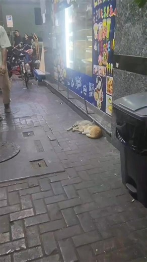 Will you wake them up | Brave Friends