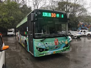 【研学公交】【东环龙潭公园一线牵】【不再跨越柳江河】【改线首发】柳州公交 30路 旅游集散中心-龙潭公园 上行POV原声原速