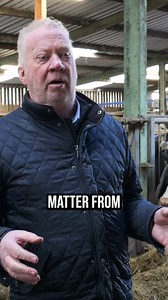 11K views · 56 reactions | How is everyones zero grazing season going so far? Full video in comments  #creatingnewstandards #grasstechnology #zerograzing #grasstomilk #farming | Grass Technology | Facebook