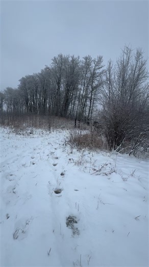 Gwynnie engaged turbo thrusters 😳 … hear the thunder 🧐 | Thunder and Stone Draft Ranch