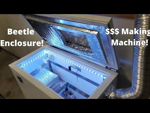 Dermestid Beetles Housing Setup | Skull Cleaning Taxidermy | Cheap!