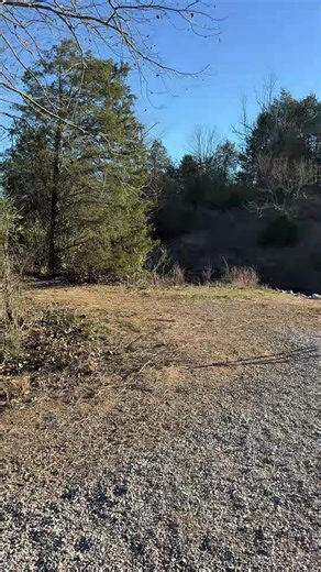 Exploring the LIVE Incentive Program