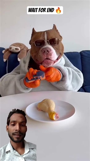 Introducing the "VitaWear SmartBand," a next-generation wearable gadget🎉#Pitbull