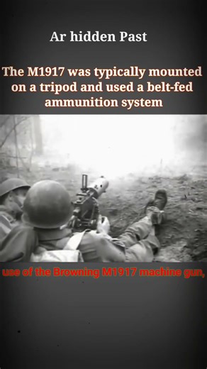 The Browning M1917 machine gun 😳