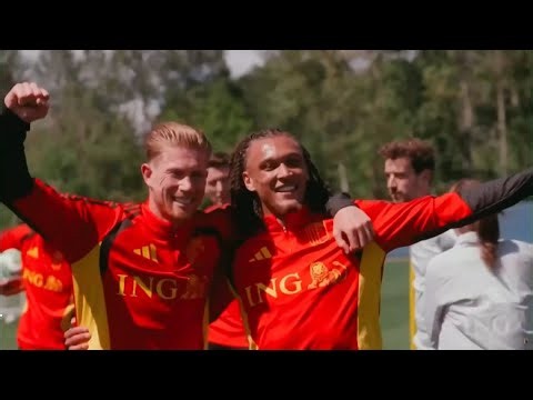 Belgian fans support team in Washington