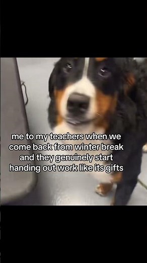 #floptok #tiktok #memes #floptropica #funny #shorts #fyp #viral