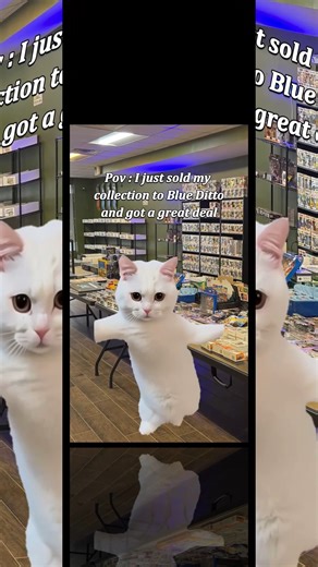 Selling your collection is now so easy, even our AI cat took a break from its TikTok dance career to celebrate. It’s flossing. We’re concerned.#tcg #pokemon #pokemontcg #BlueDitto | Blue Ditto Cards and Collectibles