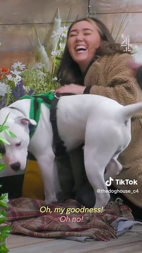 The Dog House: Luna and Dave's Hilarious Rescue Story | Channel 4