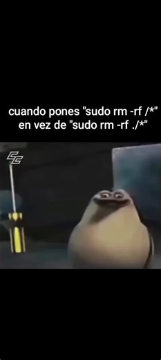 La pesadilla de informáticos en Linux: El comando devastador