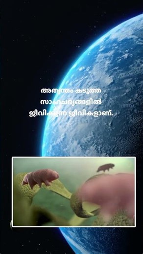 Alien-കൾ ഭൂമിയിൽ തന്നെ ഉണ്ടോ? 😳