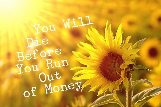 You Will Die Before You Run Out of Money - Go Curry Cracker!