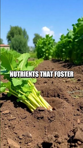 Exploring the Benefits of Green Manure Crops in Sustainable Gardening