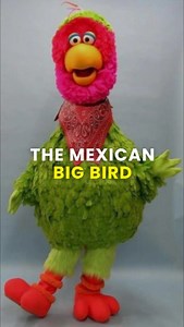 Meet Abelardo Montoya, the “Mexican Big Bird,” a green, full-bodied Muppet parrot on “Plaza Sésamo,” the Mexican co-production of “Sesame Street.” | NuestroStories