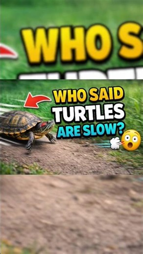 Fastest Turtle Ever? 🐢💨 This One Will Shock You!