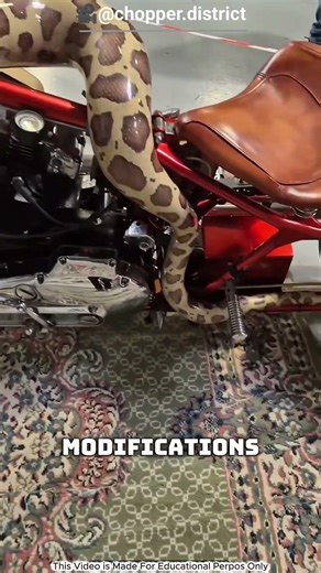 This “python head” is actually a motorcycle part 😳 #shortsfeed #shorts #moterbikes #viral #fyp