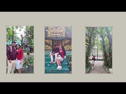 Our Thailand Vlog❤️🌴🐬